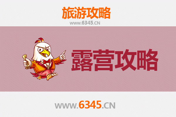 东营垦利周边露营胜地全攻略：黄河口生态与星空下的野趣体验